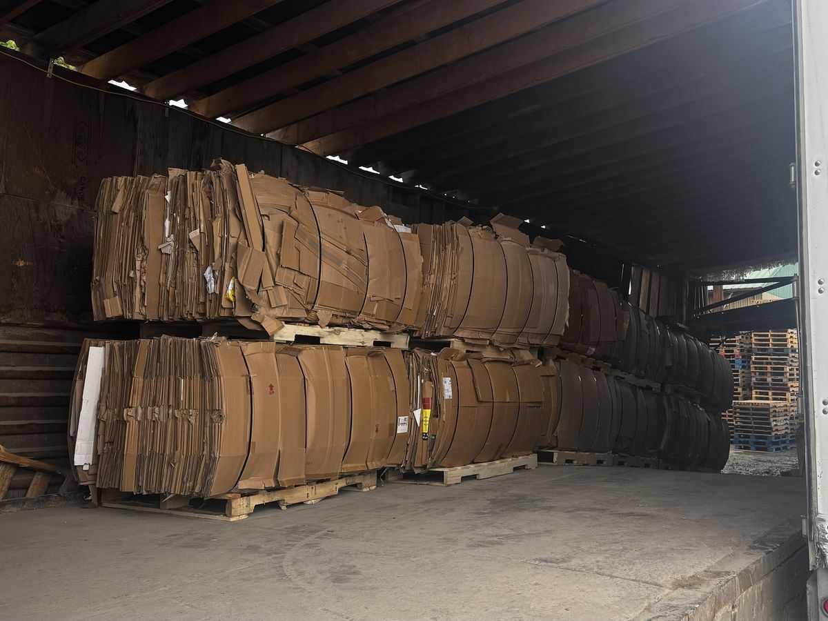 Cardboard